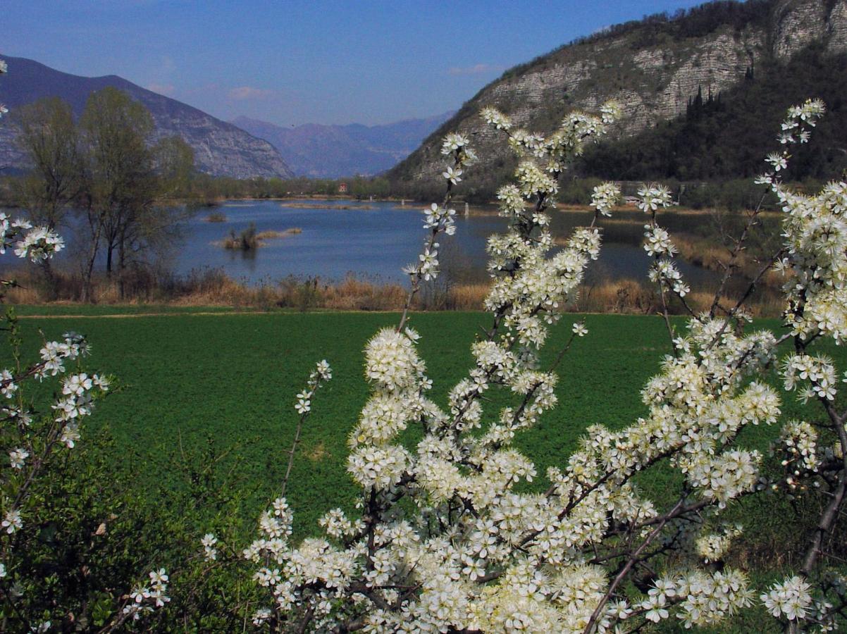 B&B Forsesiforseno Sulzano Exteriér fotografie